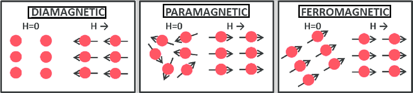 How Magnets Workv