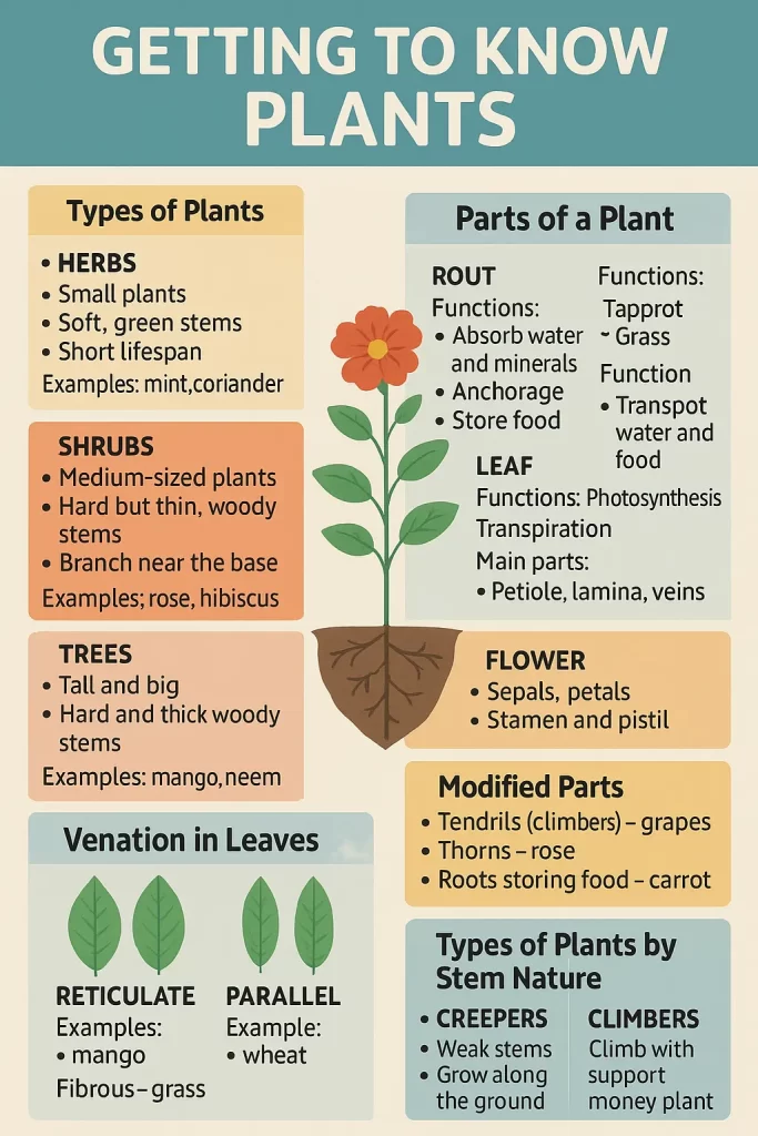 Class 6 Science Chapter 7