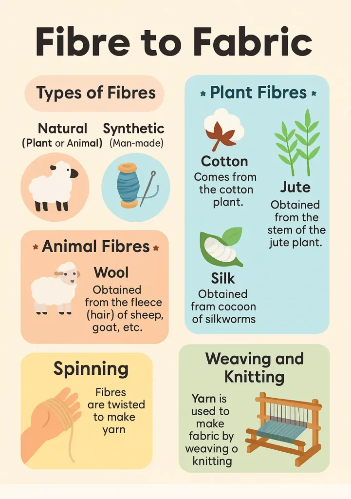Class 6 Science Chapter 3