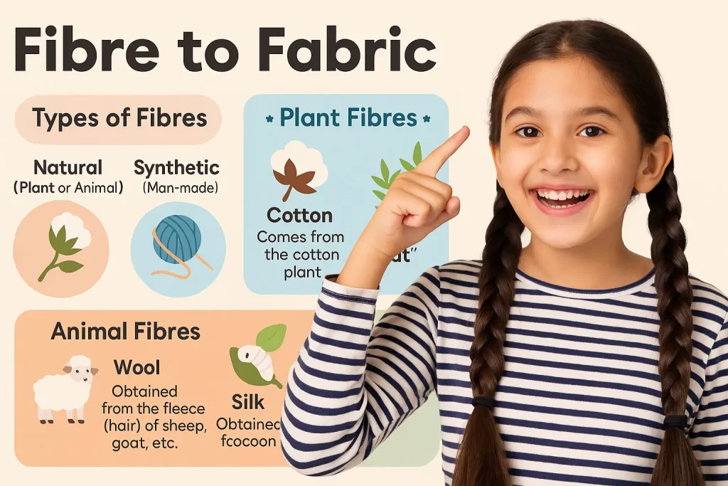 Class 6 Science Chapter 3