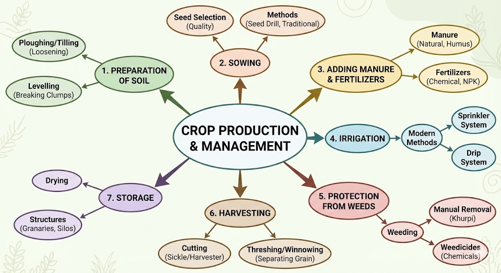 Crop Production and Management Class 8